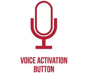 voice
