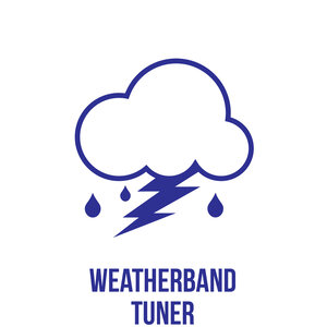 weather resistant icon